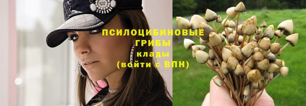 МДПВ Карпинск