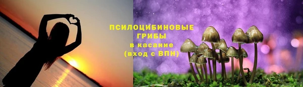 скорость Касимов