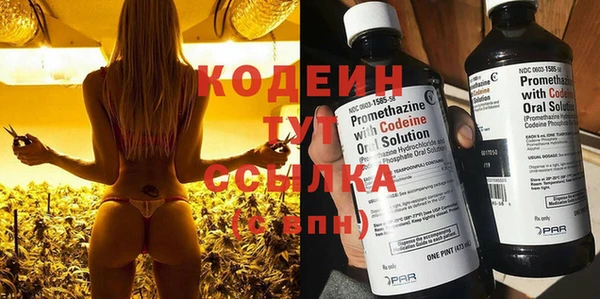 МДПВ Карпинск