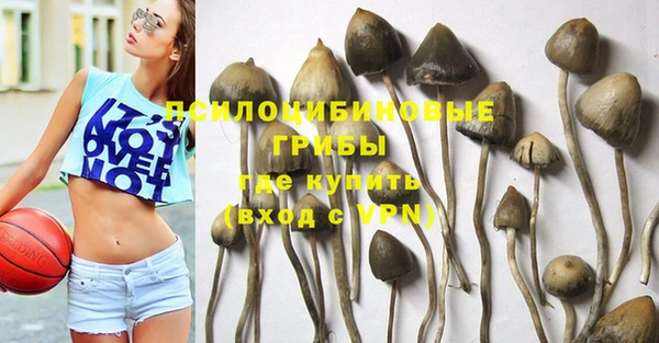МДПВ Карпинск