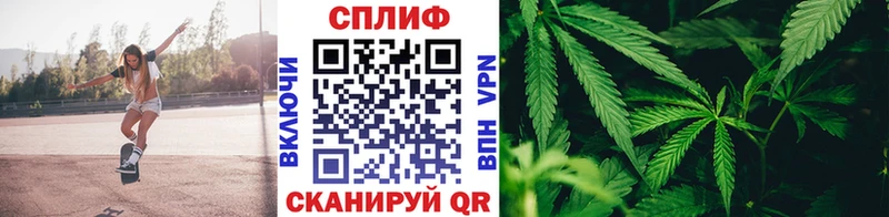 Купить закладки  Исилькуль  Марихуана THC 21% 